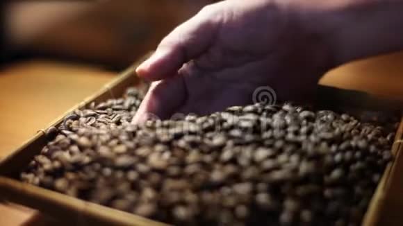 咖啡师的手选择烤咖啡豆隔离准备煮咖啡视频的预览图