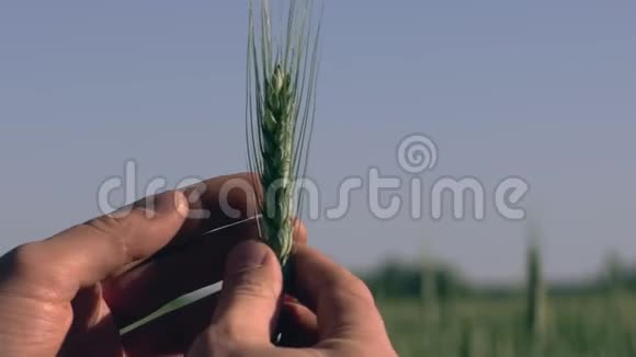 农业文化特写视频的预览图