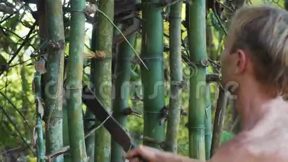 白种人在森林里用砍刀砍竹视频的预览图