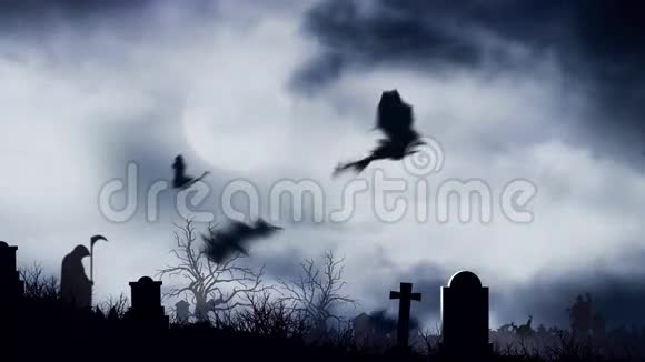 月光下的墓地蝙蝠视频的预览图