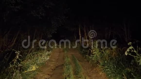在车灯的照耀下在丛林中的一条糟糕的乡村道路上行驶视频的预览图