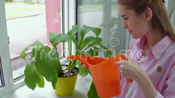 年轻的女士照顾植物视频的预览图