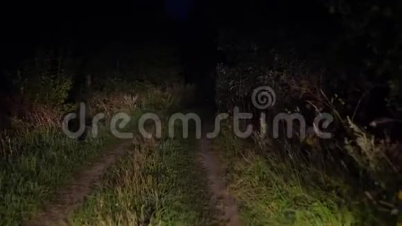 在布什的大灯下夜晚在糟糕的乡村道路上行驶视频的预览图