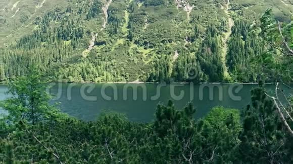 塔特拉山上多山的莫尔斯基奥科湖的森林海岸视频的预览图