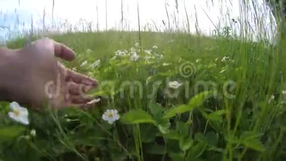 在大自然的田野里人们手里拿着草园艺工人园丁在花园里撕扯着生活方式的草太阳绿视频的预览图
