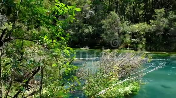 塔拉韦拉河新西兰北岛视频的预览图