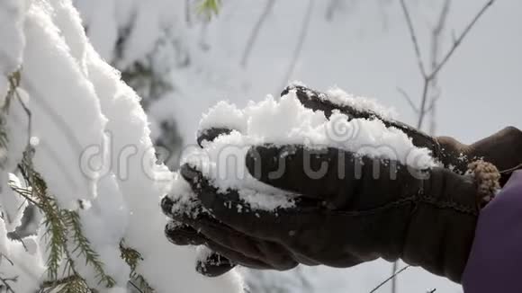 双手戴着温暖的冬天手套手里拿着一堆新鲜蓬松的雪视频的预览图