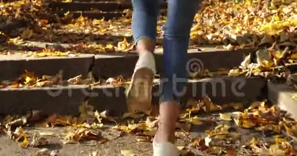 秋天公园里的女跑步者穿着慢跑服女人的腿部特写镜头穿着覆盖着脚步的短裤奔跑视频的预览图