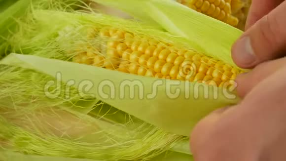 农夫用手打开熟玉米视频的预览图