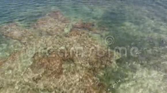 热带加勒比海滩和炎热夏季的海洋视频的预览图