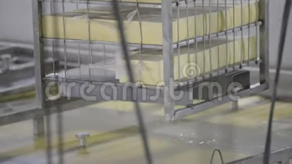 干燥前冷却奶酪轮奶酪制作过程工厂生产奶酪轮视频的预览图