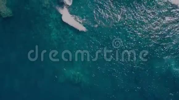 鸟亚速尔岛圣米格尔岛的珊瑚礁海岸的海洋冲浪的视野视频的预览图