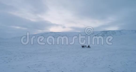 视频拍摄无人机一个人与驯鹿乘坐雪橇在北极视频的预览图