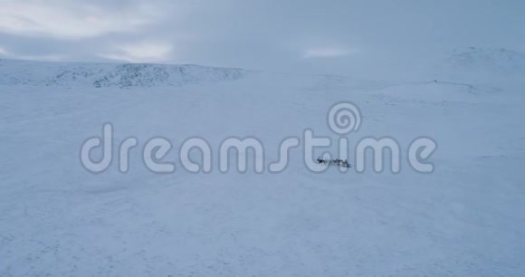 西伯利亚的景观一个人驾驶雪橇与驯鹿惊人的视频从无人机视频的预览图
