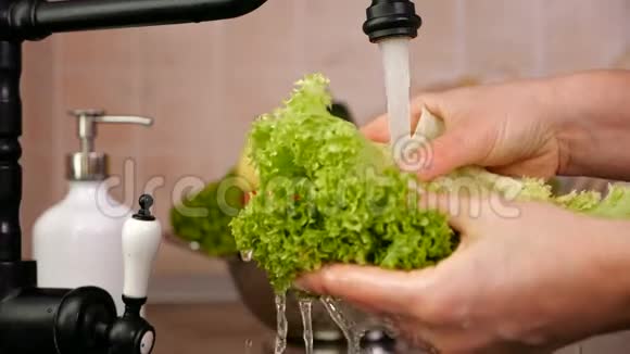 女人洗手在厨房水槽里滴着生菜叶视频的预览图
