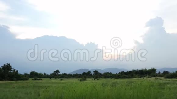 绿草草甸景观和日落天空视频的预览图