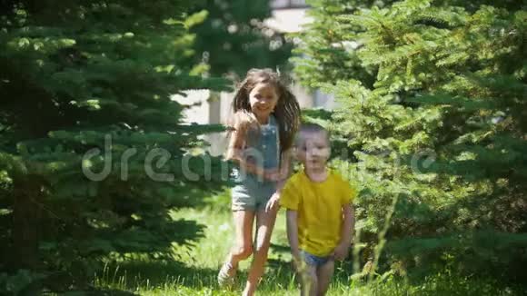 在晴朗的日子里弟弟在公园里和妹妹私奔视频的预览图