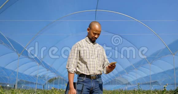 男子使用手机蓝莓农场4k视频的预览图