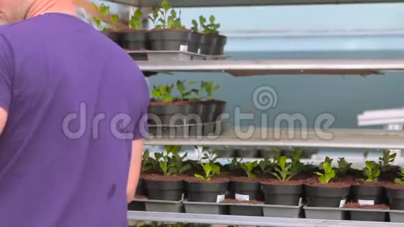一个人在温室里工作有花有花盆在温室里工作在温室里工作大型现代化视频的预览图
