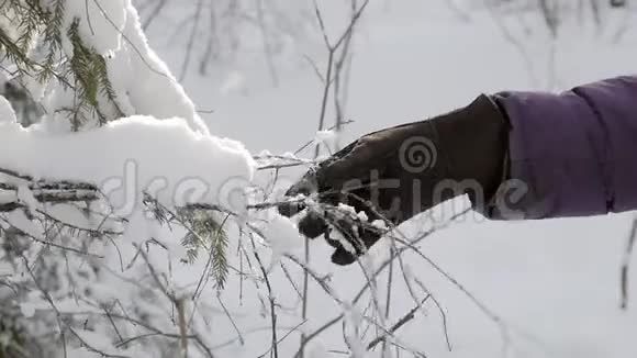 用温暖的冬手套触摸覆盖着雪的树枝视频的预览图