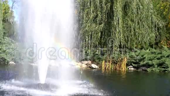 彩虹喷泉视频的预览图