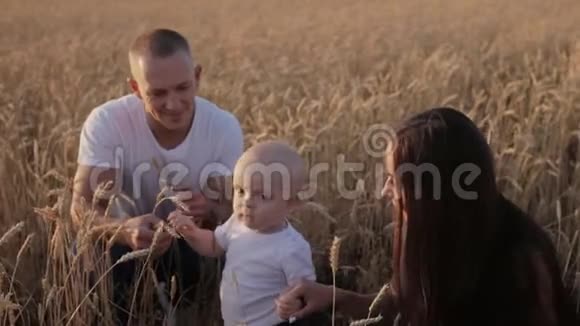 在金色麦田里幸福的一家人视频的预览图