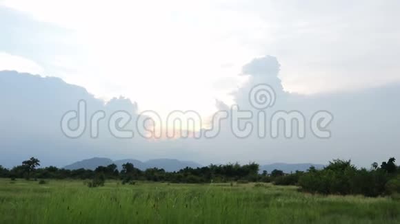 绿草草甸景观和日落天空视频的预览图