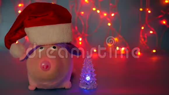 粉色的小猪玩具蓝色背景上戴着红色圣诞老人帽子里面放着一发光的圣诞树还有圣诞灯视频的预览图