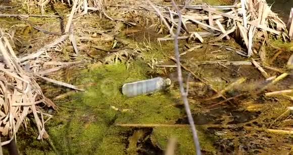 旧塑料瓶漂浮在沼泽或沼泽的水中用过的空瓶留在水里生态概念垃圾灾害视频的预览图