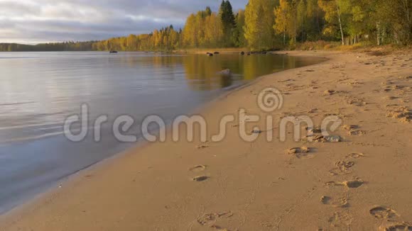一个人沿着沙滩跑黎明的清晨他运动过着健康的生活视频的预览图