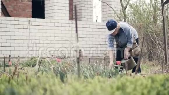 一位老妇人的园丁用花盆浇花视频的预览图