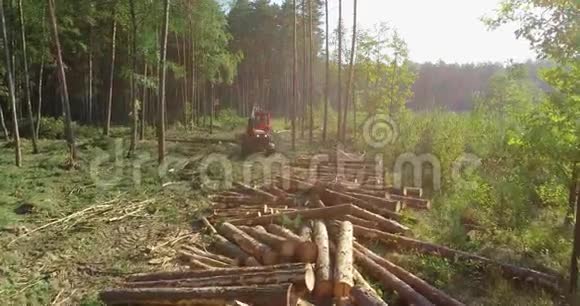 森林收割机将木材切割成零件森林收割机鸟瞰图视频的预览图