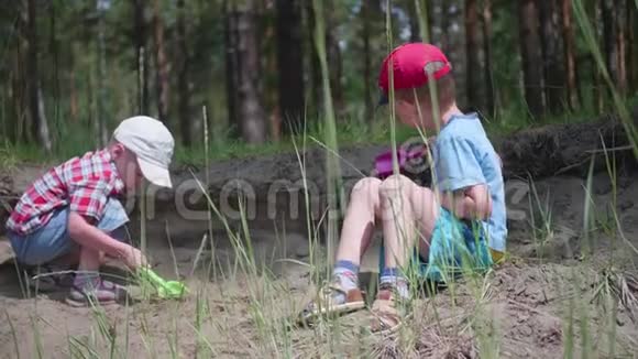 两个孩子在一棵大树附近玩耍针叶树的根长在地球外美丽的夏日风景视频的预览图