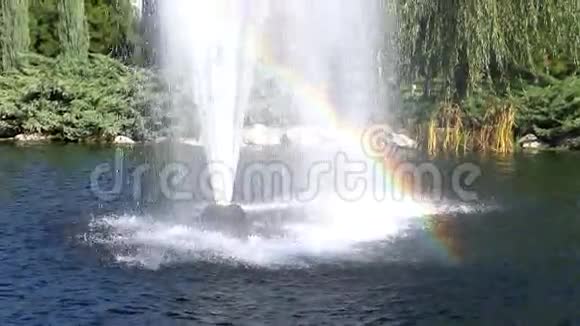 彩虹喷泉视频的预览图