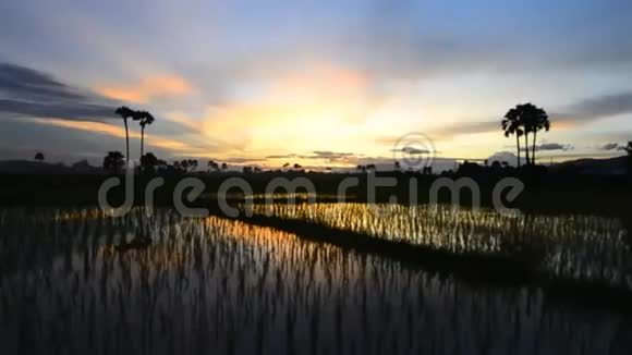 黄昏时分美丽的乡村农场视频的预览图