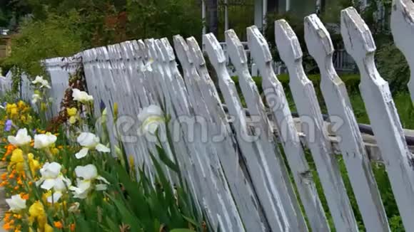 旧的白色栅栏有剥落的油漆和花视频的预览图