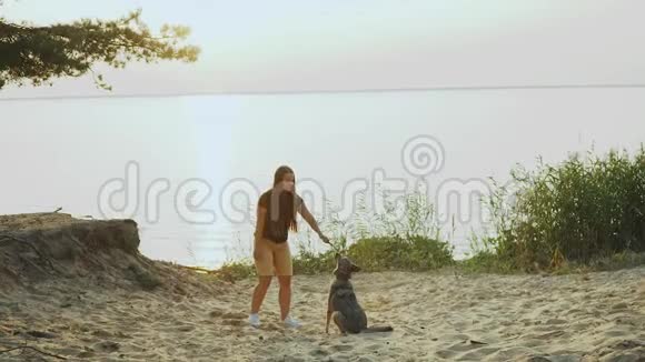 快乐的年轻女人在大河附近的松林里和她的混血狗玩动作很慢视频的预览图