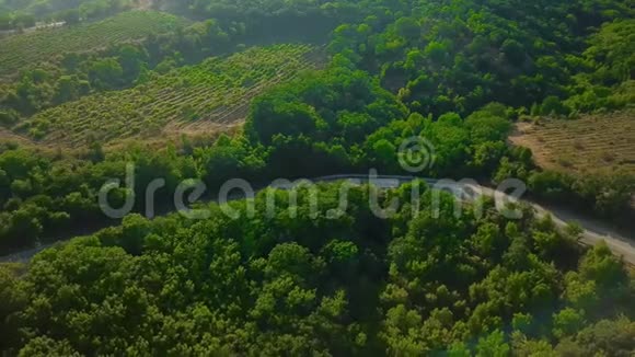 无人机的视线从高山口到克里米亚蜿蜒的道路旅途愉快视频的预览图