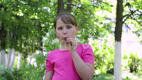 在阳光明媚的夏日野餐时带着焦糖糖果的女孩视频的预览图