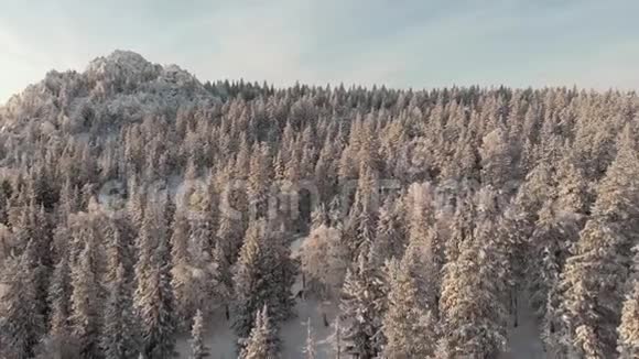 4K北部冬季森林上空飞行空中俯视视频的预览图