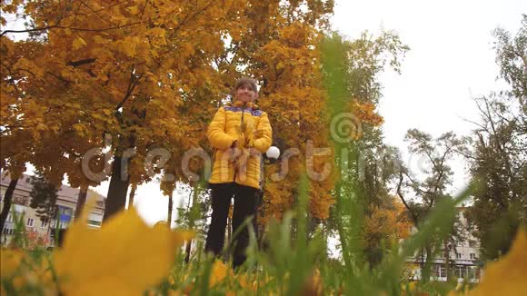 女孩把金色的秋叶扔到公园里微笑慢动作视频的预览图