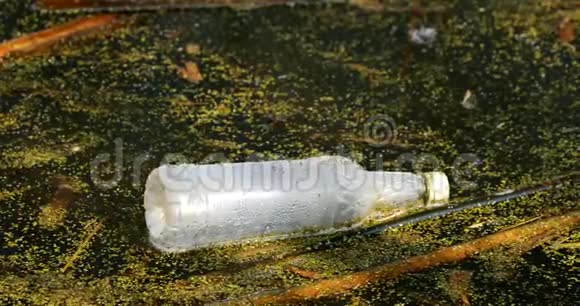 旧塑料瓶漂浮在沼泽或沼泽的水中用过的空瓶留在水里生态概念垃圾灾害视频的预览图