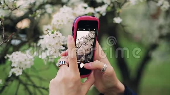 女孩用不同框架的智能手机拍摄花的照片视频的预览图