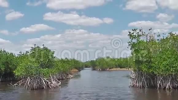 乘气垫船游览红树林视频的预览图
