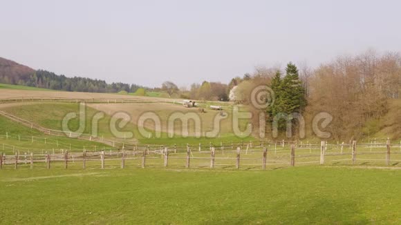 春日在农场围场围栏后面放牧马匹视频的预览图