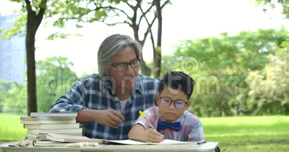 老人在公园里帮助孩子做学校作业视频的预览图