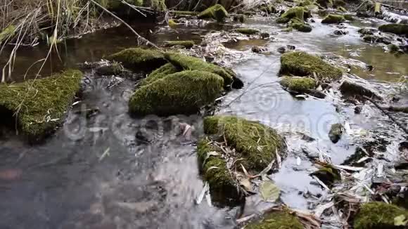 森林溪流放松视频视频的预览图