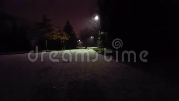 夜幕降临在公园里视频的预览图
