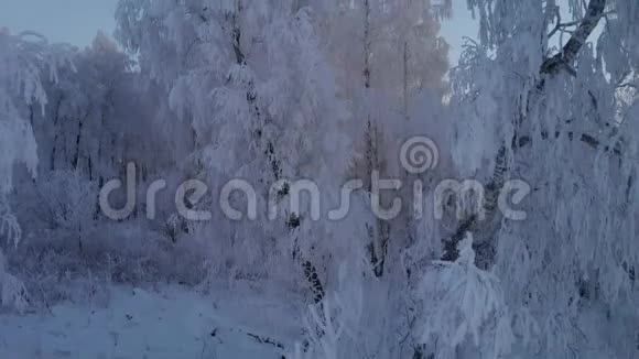 晚上冰冻冬林视频的预览图