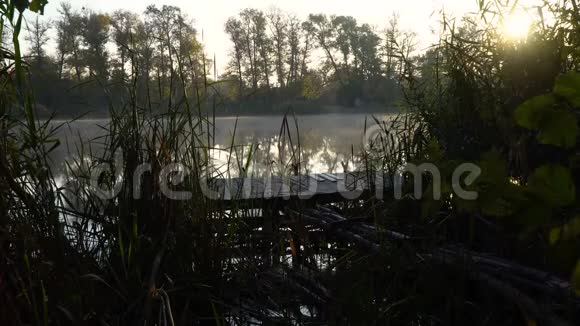 河岸上的日出景观与木费舍尔桥芦苇日出和水上烟视频的预览图
